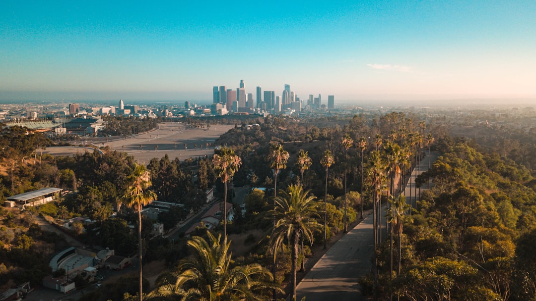 Kalifornijski sen w zasięgu ręki! Tanie loty do Los Angeles z Berlina